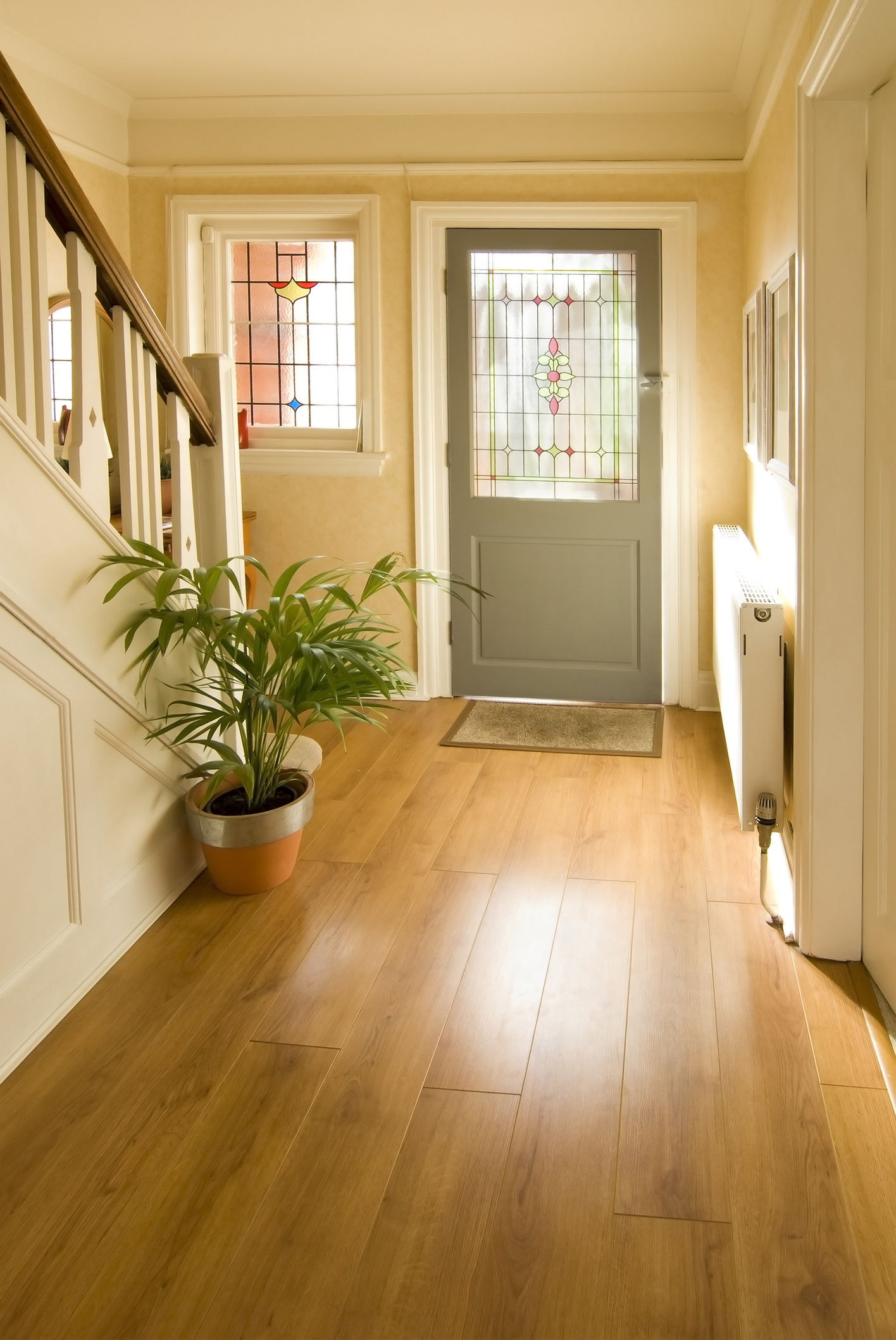 entry and hall way dreamstime m 3567680 EcoMaster