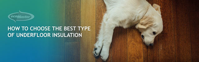 dog lying on the floor