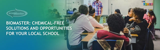 Students listening to their teacher in class