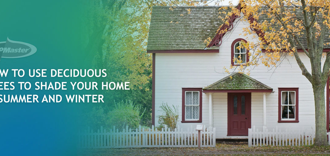How To Use Deciduous Trees to Shade Your Home in Summer and Winter