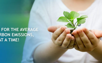 Making up for the average home’s carbon emissions, one tree at a time!