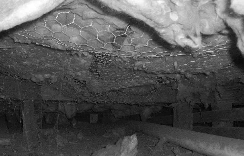 Types of Underfloor Insulation: Fibreglass Batts Disturbed by Rats