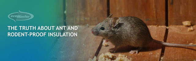 Rodent Proof Insulation