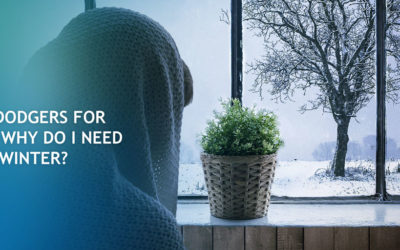 Draught Dodgers: Why Do I Need It for Winter?