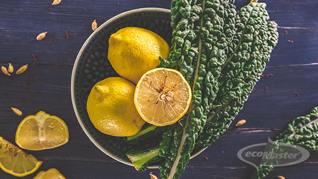 Lemon and Kale on a bowl EcoMaster