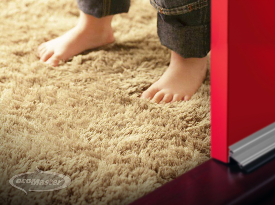 Gaps in Floorboards Carpet EcoMaster