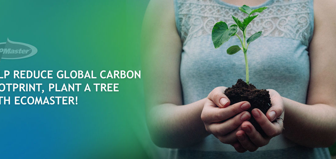 Help Reduce Global Carbon Footprint. Plant A Tree with