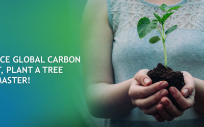 Help Reduce Global Carbon Footprint. Plant A Tree with ecoMaster!