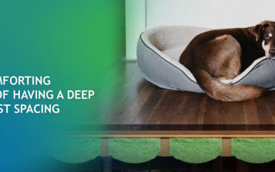 3 Comforting Benefits of Having a Deep Floor Joist Spacing