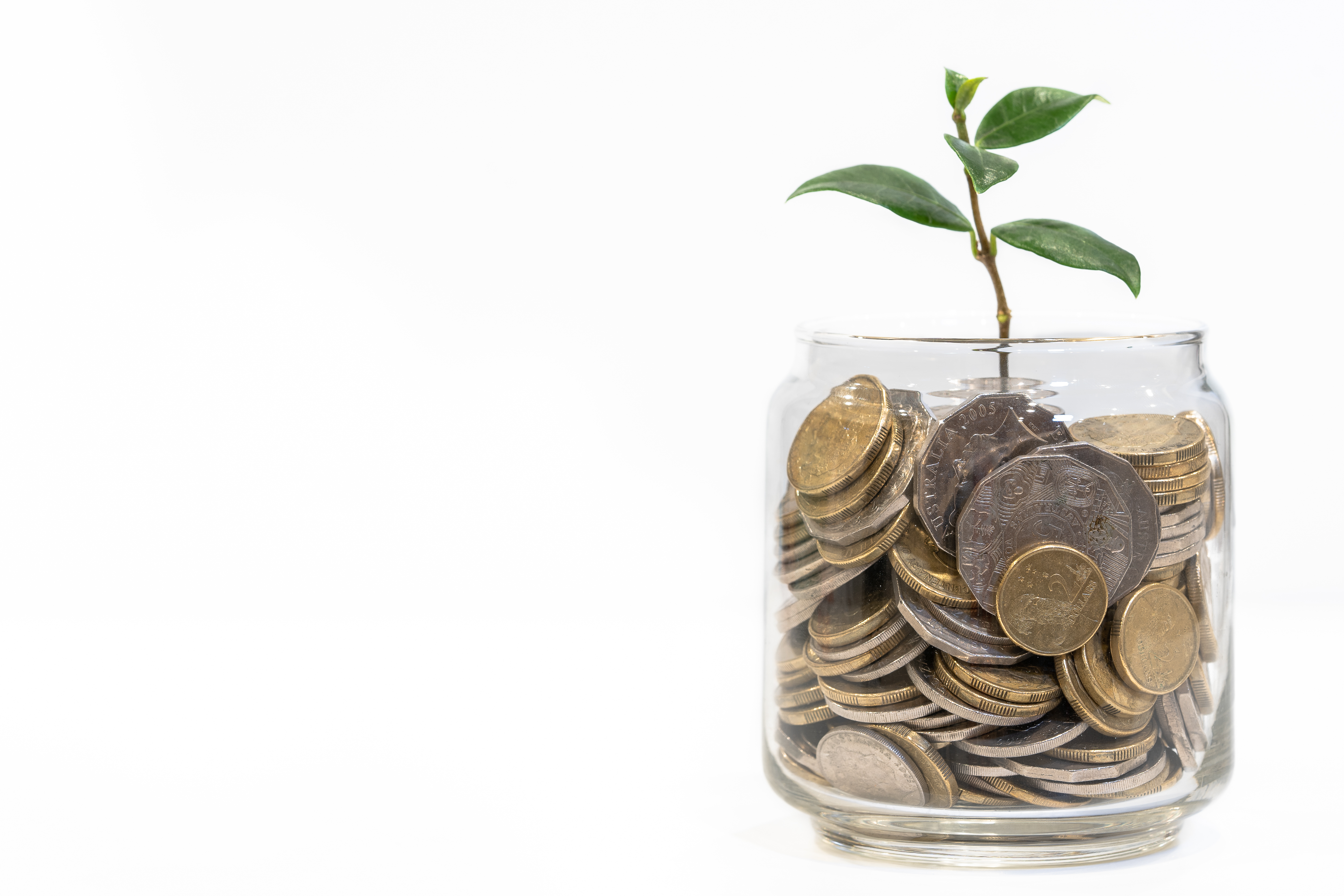 ecoMaster Rising Energy Costs - How to Prepare Your Home EcoMaster