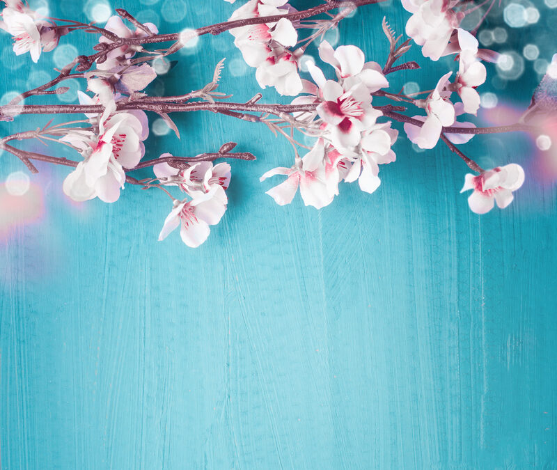 Say Goodbye to Sniffles: Seal Your Home for a Sneeze-free Spring!