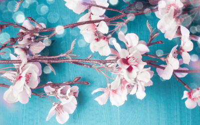 Say Goodbye to Sniffles: Seal Your Home for a Sneeze-free Spring!
