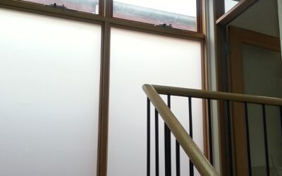 How One Homeowner Turned a Bad View into a Stunning Feature with ecoGlaze