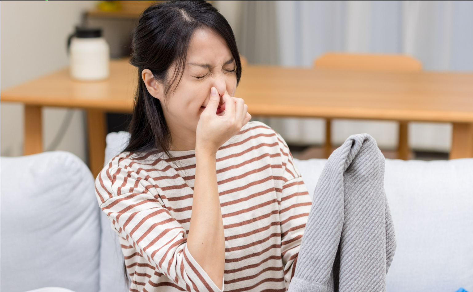 mouldy clothes EcoMaster