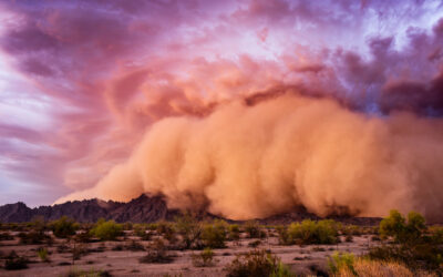 Dust Trails: The Dirty Little Secret of Draughty Doors